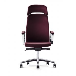 Ergonomic chair Belive-546.