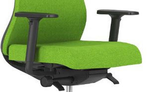 Ergonomic Souly chair with 2D armrests.