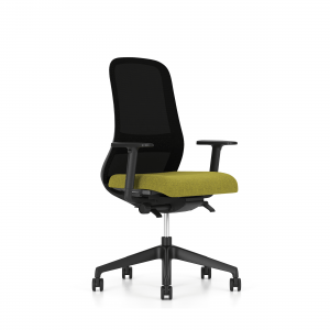 Ergonomic chair Souly.