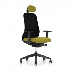 Ergonomic chair Souly.